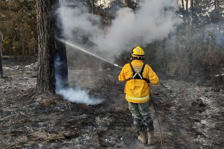 Procesan a señalado por incendio en Tapalpa
