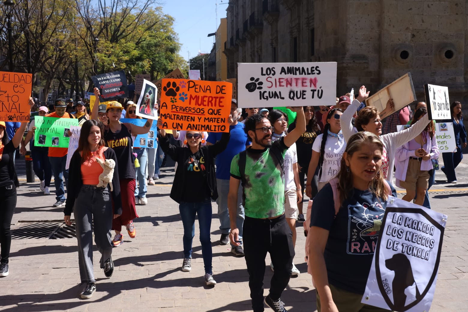 Jalisco se une a llamado nacional por el derecho de los animales