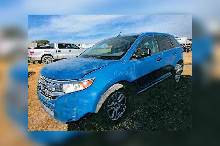 Decomisan autos y droga en La Chona 