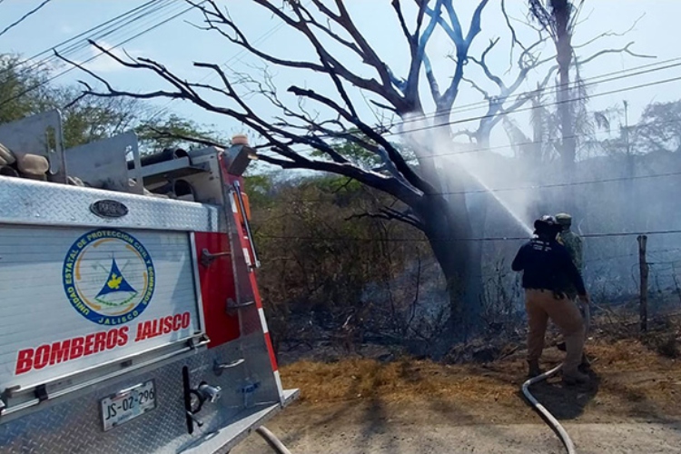 Plantean destinar más recursos a seguridad y protección civil 