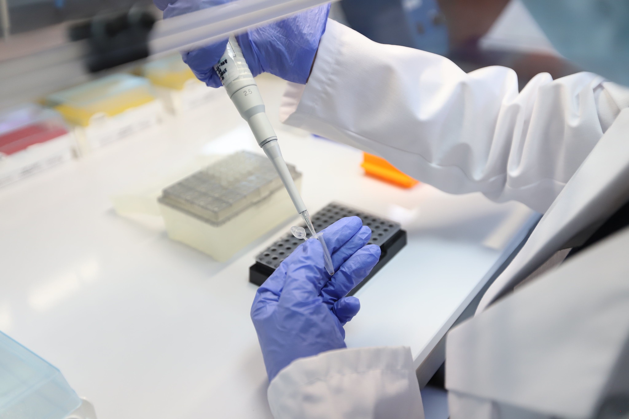 Brigada de identificación llegarán a Mazamitla 