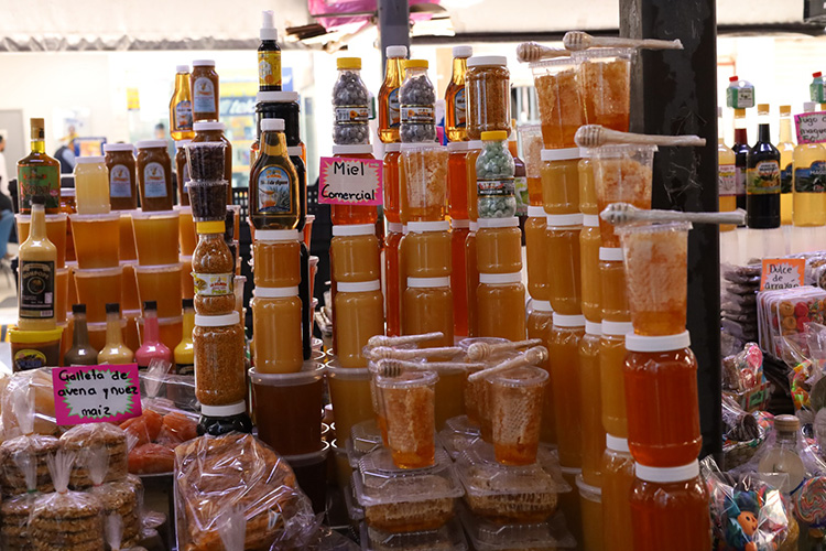 Monocultivos causan pérdida del 75% de producción de miel