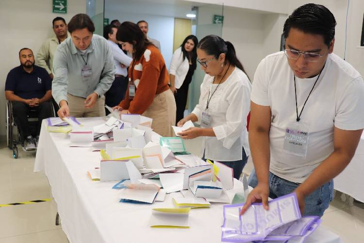 Ugalde califica las elecciones de 'absurdas e inéditas'