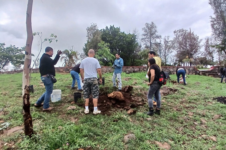 Con reforestación, celebran resistencia en cerro de la Reina