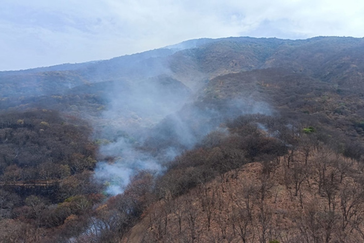 Fuego dañó 83 mil hectáreas en estiaje 