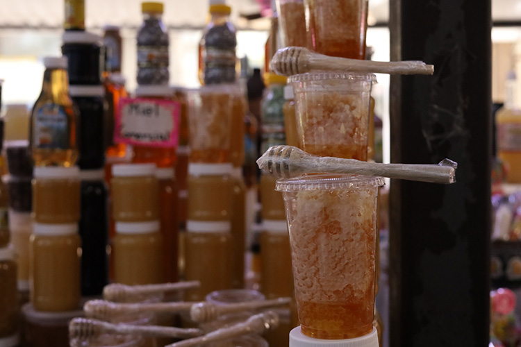 Redes débiles limitan el potencial de apicultores 