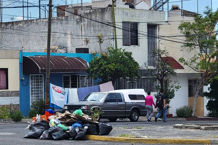 Van 699 detenidos por tirar basura