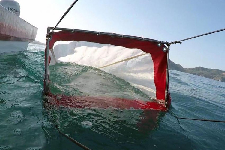 Microplásticos amenazan ecosistemas marinos