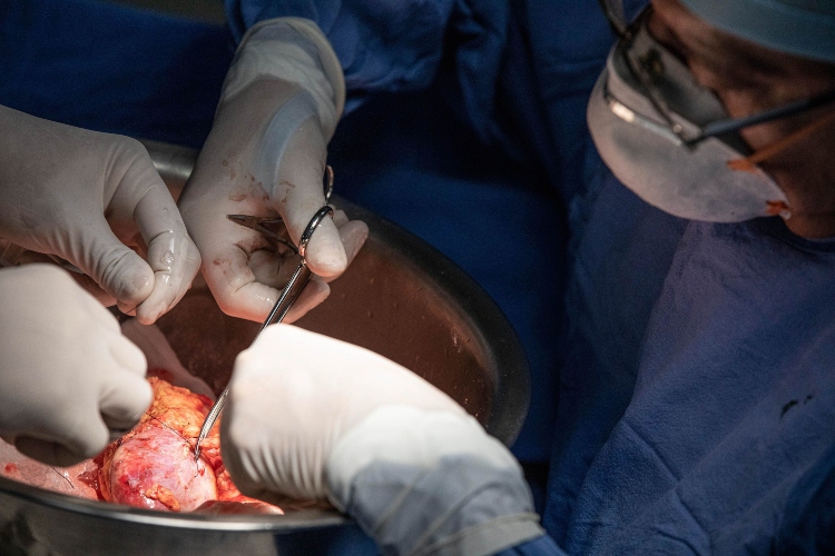 Presupuesto anual para Cetrajal va a la baja