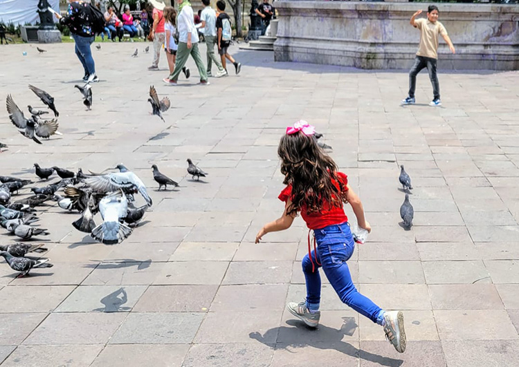 INE da resultados de consulta a menores de edad en Jalisco