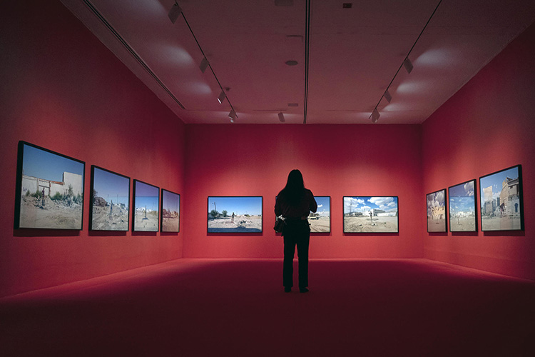 ‘¿Cómo salimos?', un hilo sobre violencia y muerte 