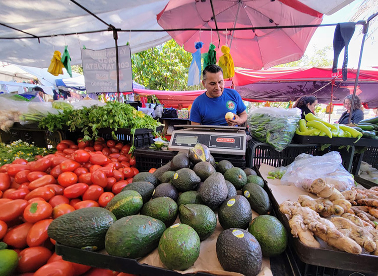 Aumenta el costo de canasta básica alimentaria