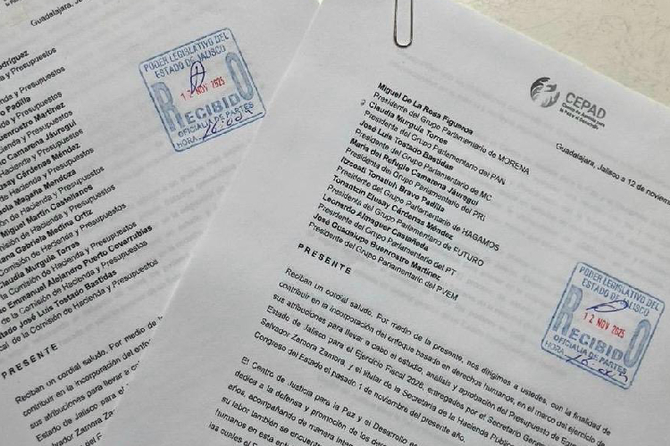 Presupuesto para búsqueda, mal enfocado: Cepad