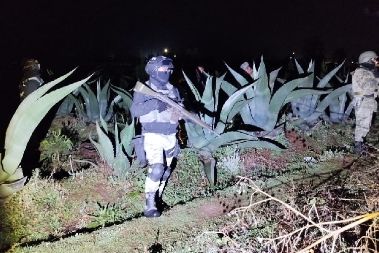 Localizan ocho tomas clandestinas en Degollado