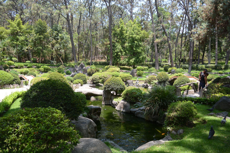Ampliarían protección de Colomos y la Barranca