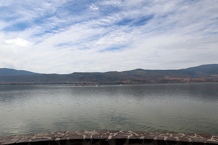 Falla la limpieza en torno a lago de Chapala
