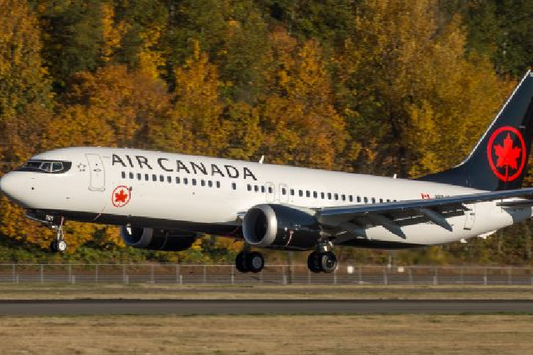 Canadá emite alerta por violencia en México; Sheinbaum minimiza impacto