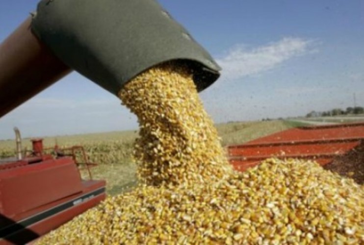 Presentan balance anual de la Procuraduría Agraria: 24 centros de atención abiertos 