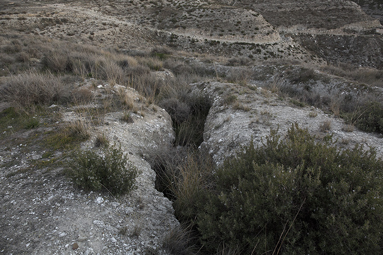 Llega Espe Pons con ‘Para no olvidar’