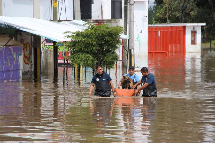 Reciben 6.8 mdp 186 familias afectadas por las lluvias en Tlajomulco