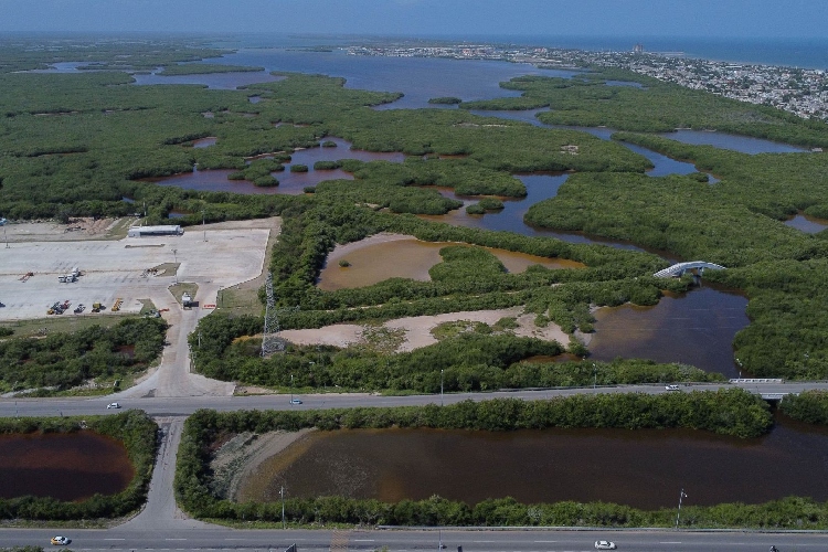 Conversatorio en la FIL expondrá panorama de desaparición de defensores ambientales