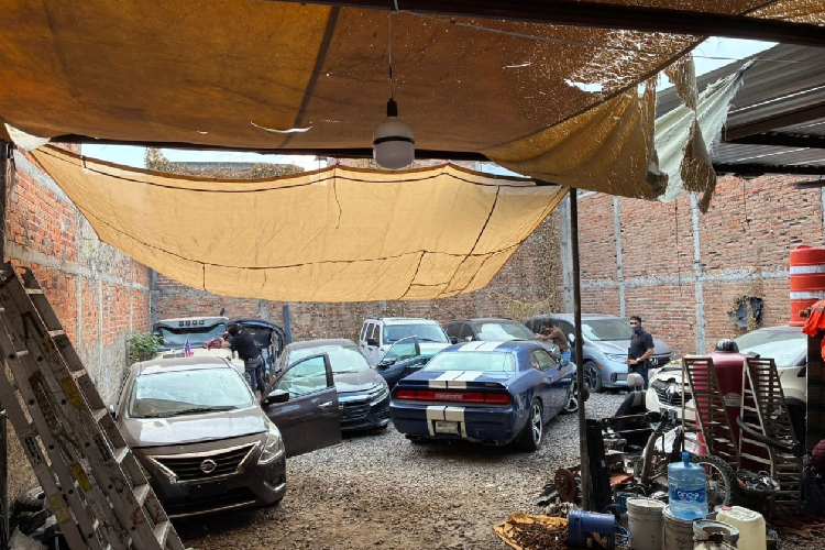 Aseguran finca y 10 vehículos tras cateo