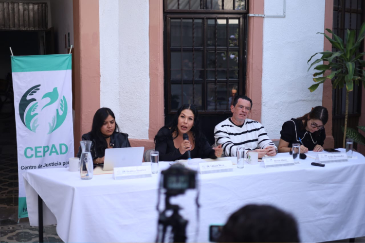 Luz de Esperanza colecta juguetes para infancias con familiares ausentes