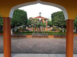 Vinculan a proceso a hombre acusado de delitos ambientales en Techaluta de Montenegro