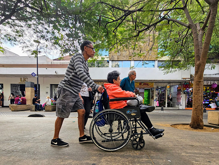 Exigirán derecho a consulta y pensión