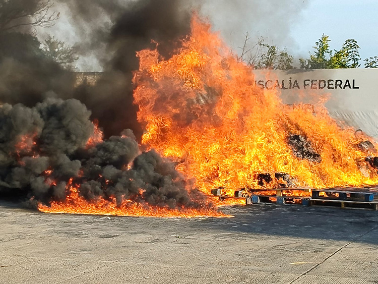 FGR quema más de 1 tonelada de drogas 