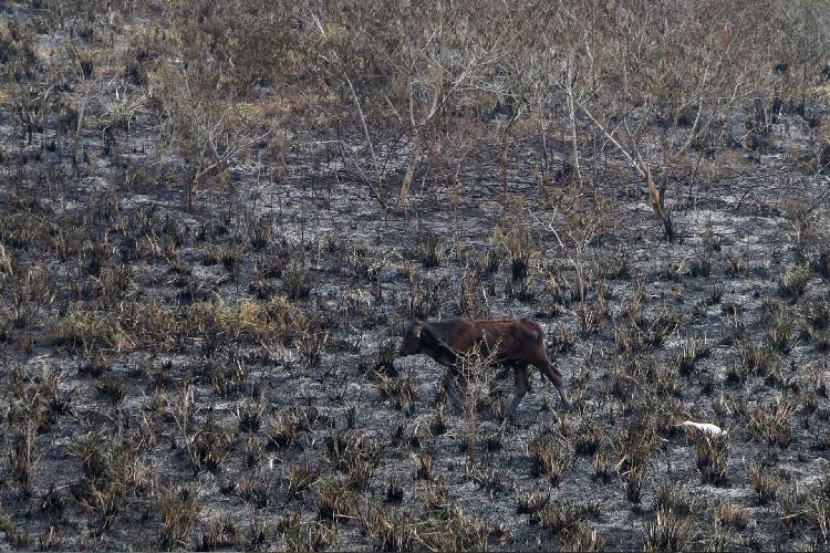 “Traición al campo”: diputado denuncia sesgos en la reforma de Aguas