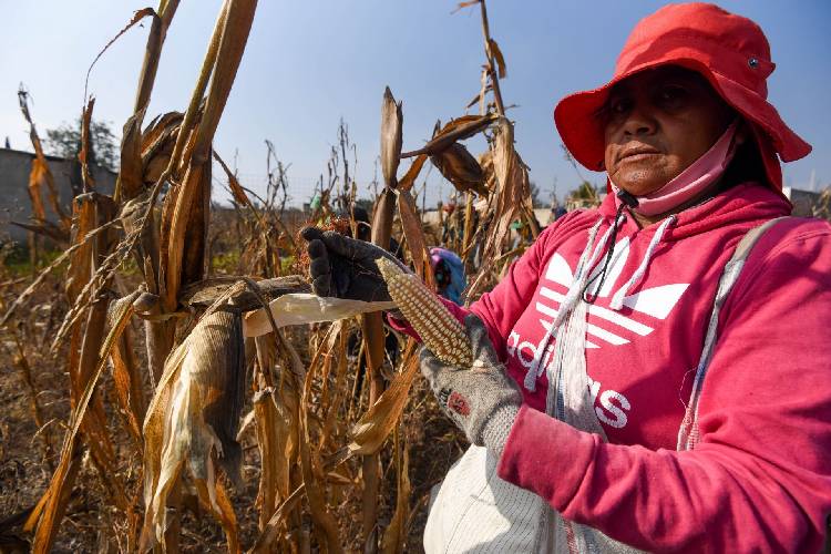 Reforma de Aguas centraliza el control y afecta al campo: Noemí Luna