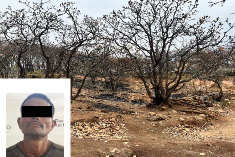 Vinculan a acusado de provocar incendio en área natural protegida