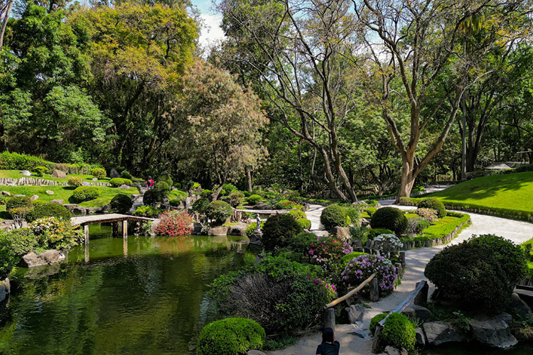 Cuenca de Colomos, urbanizada al 94% 
