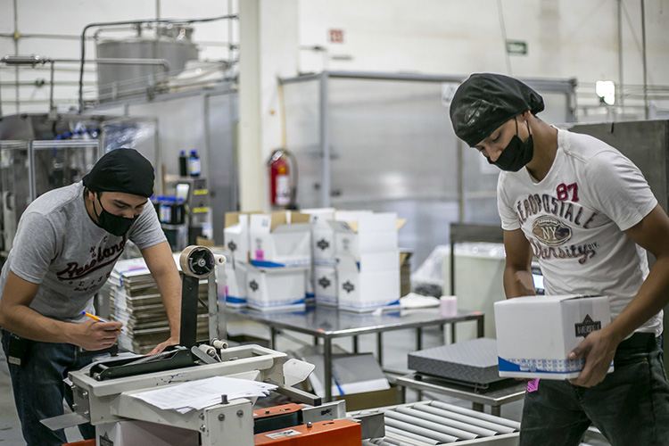 Jalisco cerró noviembre con más de 10 mil nuevos empleos 