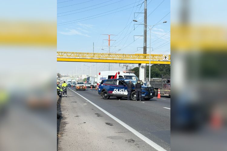 Mujer en presunta situación de calle muere atropellada