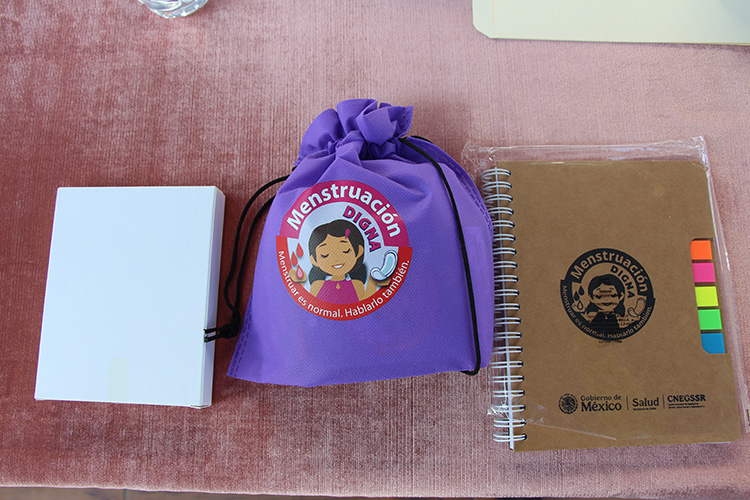 Arrancan Menstruación Digna en escuelas