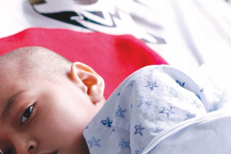 CIBO estudia diagnóstico temprano de leucemia 