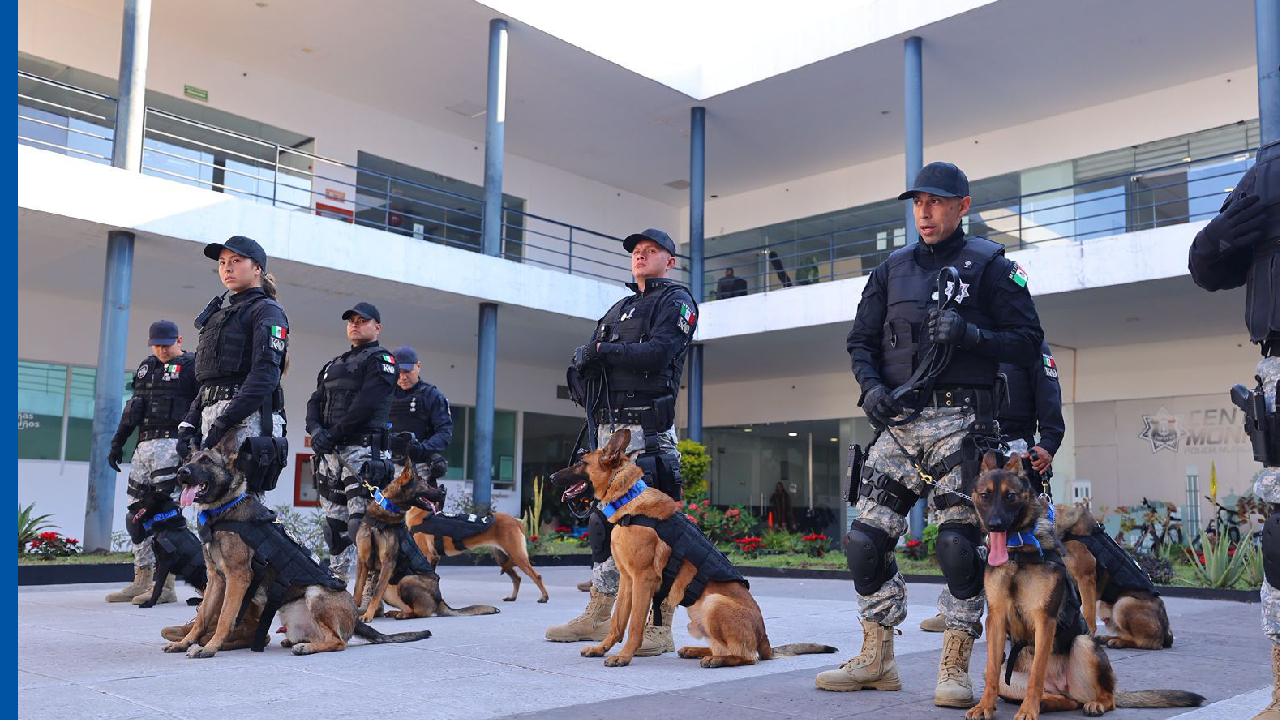Zapopan recibe nueve canes adiestrados donados por el Gobierno de Estados Unidos