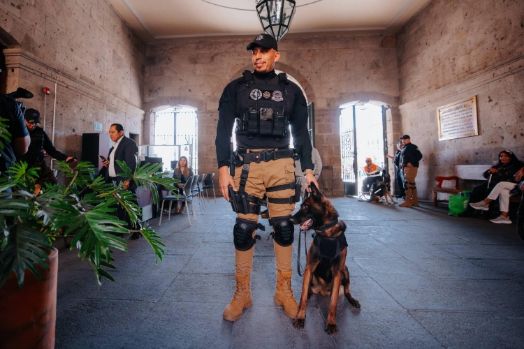 GDL refuerza seguridad con perros especializados en explosivos