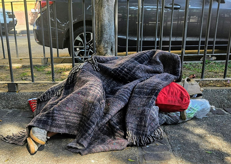 Cuestionan retiro de artículos en el Jardín Botánico de GDL