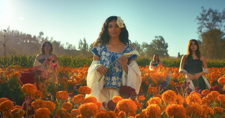 Apuestan por un cine muy mexicano en 2026