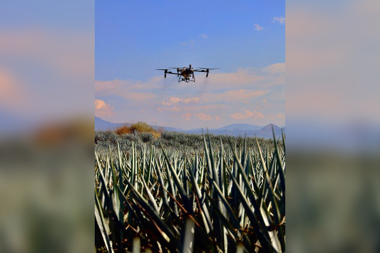 Sader Jalisco incorpora drones para modernización del campo 