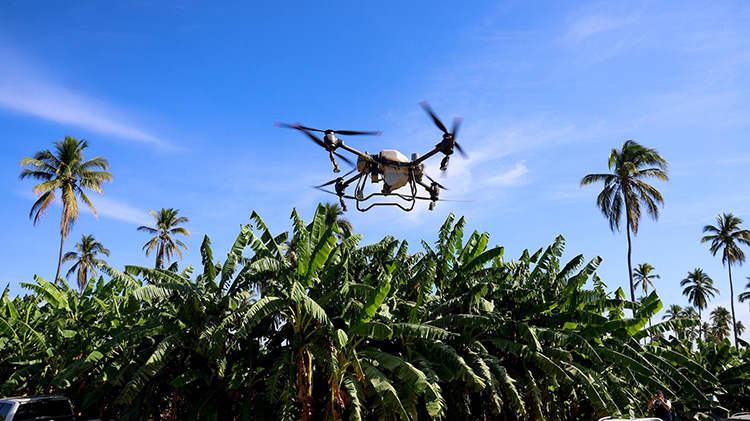 Presumen apoyo a productores de Costa Sur 