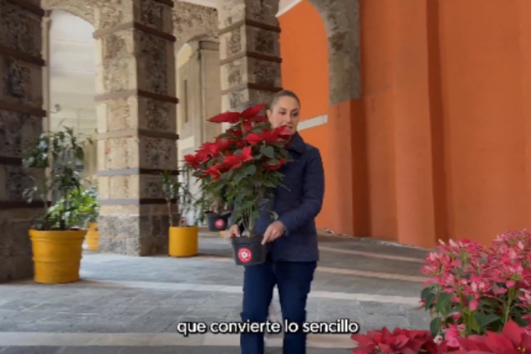 Claudia Sheinbaum desea feliz Navidad a los mexicanos