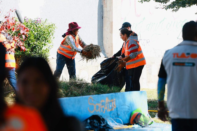 Participan 34 mil personas en brigadas comunitarias