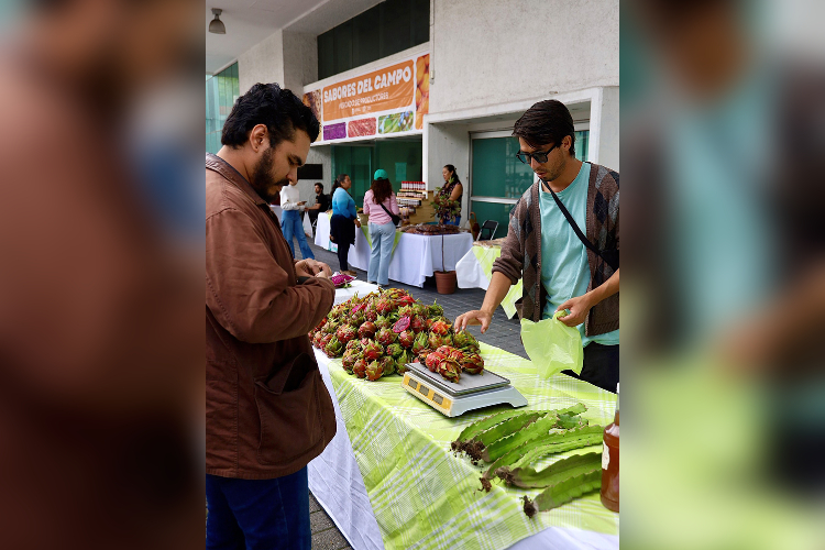 Mercado de productores continuará en el 2026