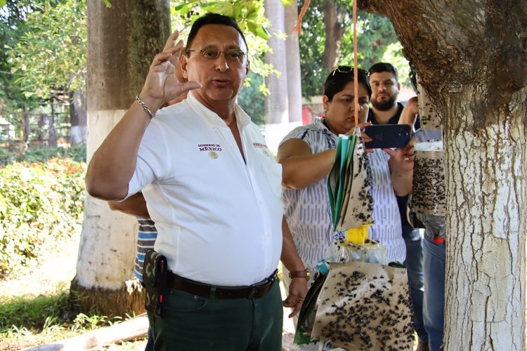 Lanzan trampas artesanales para contener al gusano barrenador