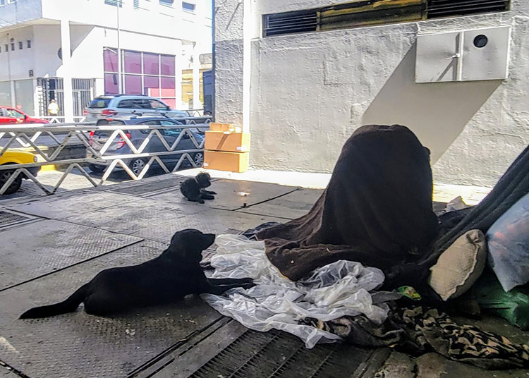 Asesinan a 15 personas en situación de calle 