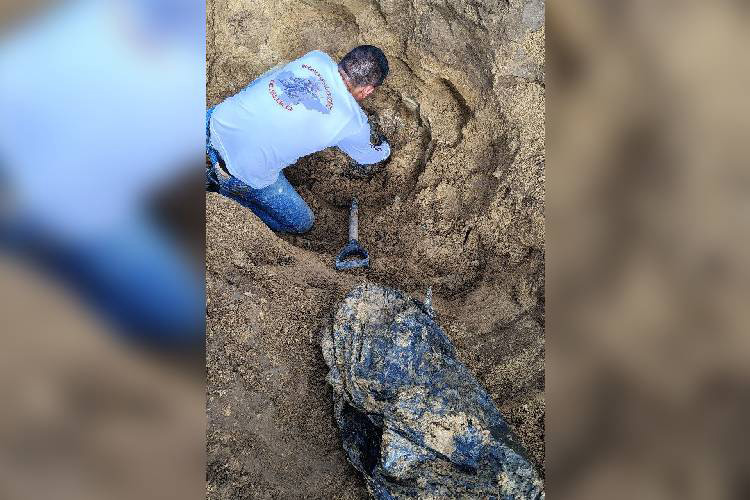 Jalisco, un laboratorio social en lo forense
